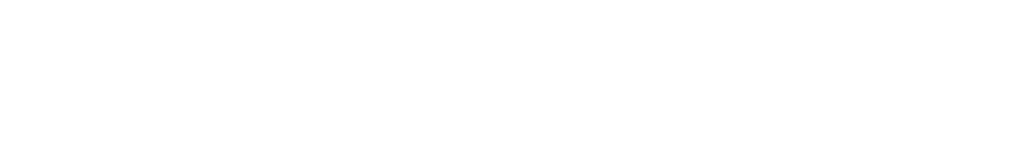 Next Level Solutions Logo
